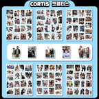 102-piece CORTIS Waterproof Sticker Set