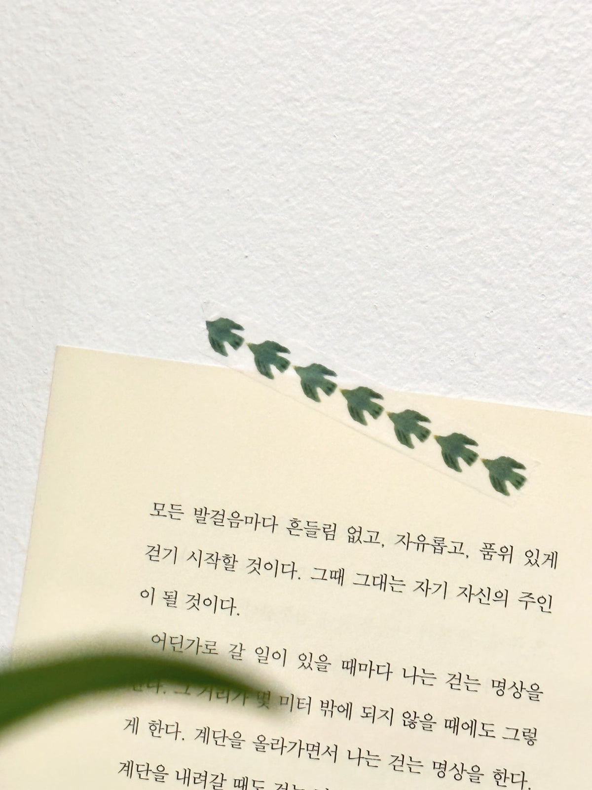 koja:5