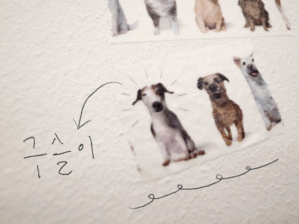 koja:4