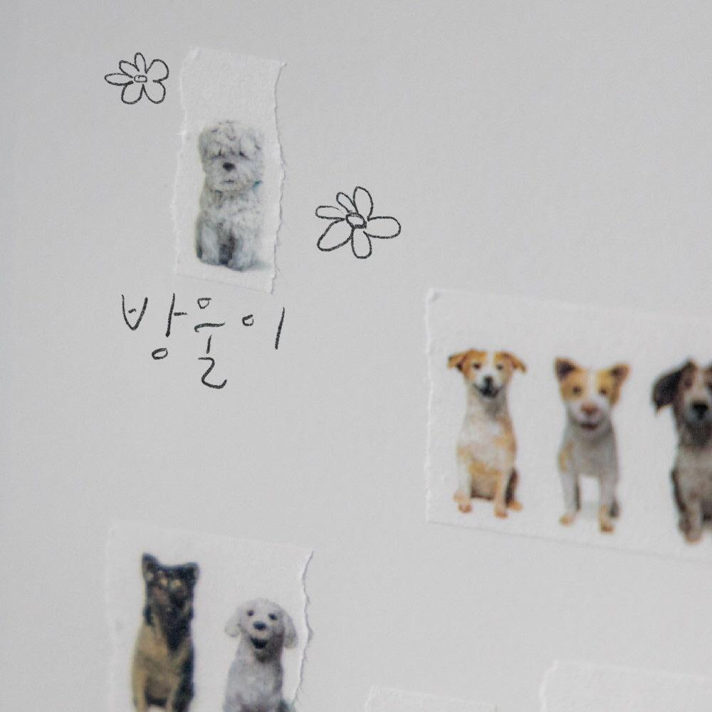 koja:5