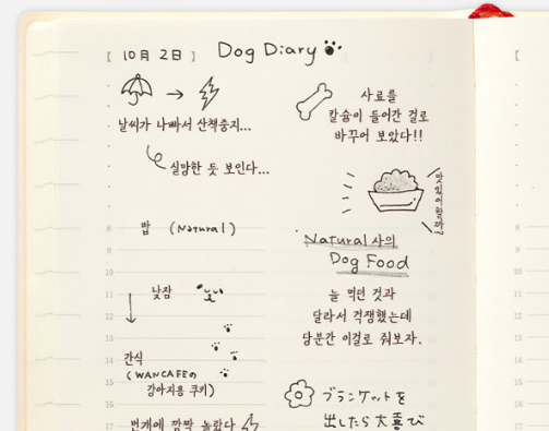 Midori Diary 2027 MD Notebook: One Page a Day