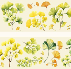 Ginko Leaves Transparent Flower Masking Tape