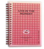 Sticker Collection Book - Translucent Cover - Rosy Pink