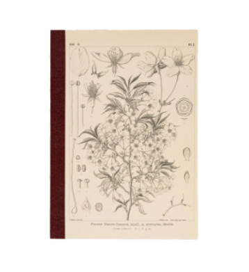 Hobonichi Graph Notebook