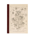 Hobonichi Graph Notebook